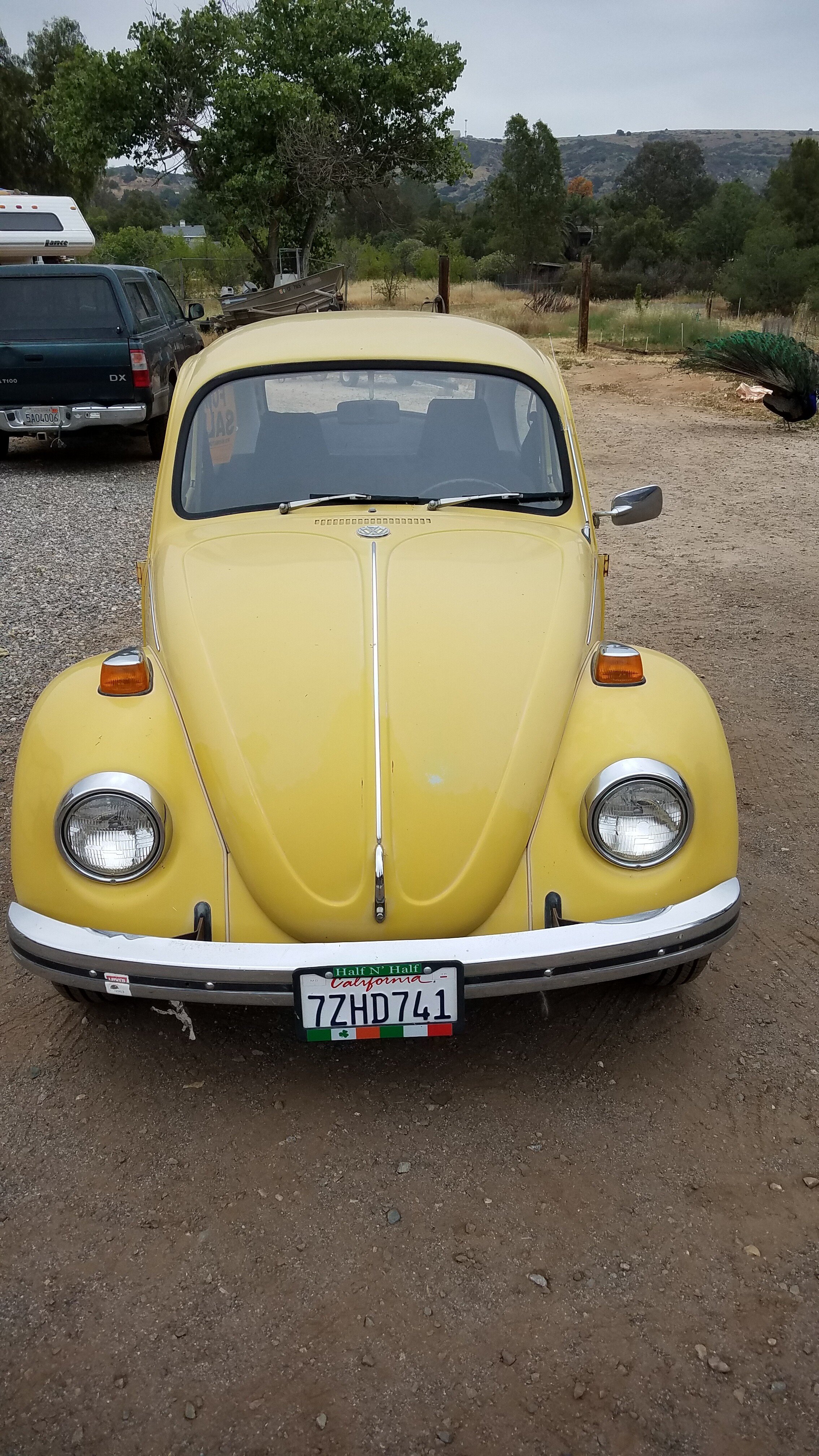 1972 Volkswagen Beetle Coupe