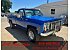 1973 Chevrolet C/K Truck Cheyenne