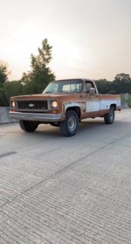 Photo 1 for 1973 Chevrolet Other Chevrolet Models