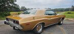 Thumbnail Photo 3 for 1973 Dodge Challenger