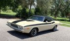 Thumbnail Photo 1 for 1973 Dodge Challenger
