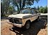1973 Ford F100