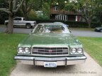 Thumbnail Photo 3 for 1973 Ford Gran Torino