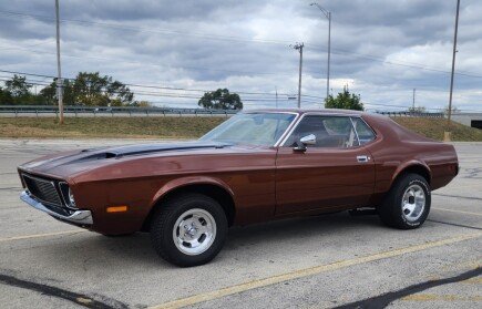 Photo 1 for 1973 Ford Mustang Coupe for Sale by Owner