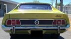 Thumbnail Photo 3 for 1973 Ford Mustang