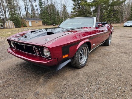 Photo 1 for 1973 Ford Mustang