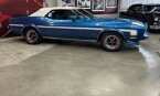 Thumbnail Photo 1 for 1973 Ford Mustang