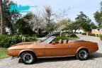 Thumbnail Photo 4 for 1973 Ford Mustang