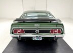 Thumbnail Photo 3 for 1973 Ford Mustang
