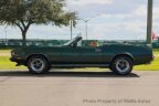 Thumbnail Photo 1 for 1973 Ford Mustang