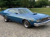 1973 Ford Torino