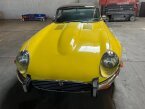Thumbnail Photo 1 for 1973 Jaguar E-Type