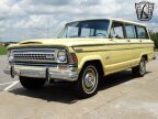 Thumbnail Photo 3 for 1973 Jeep Wagoneer