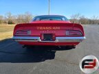 Thumbnail Photo 2 for 1973 Pontiac Trans Am