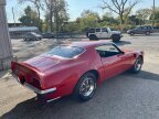 Thumbnail Photo 4 for 1973 Pontiac Trans Am