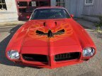 Thumbnail Photo 2 for 1973 Pontiac Trans Am