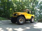 Thumbnail Photo 5 for 1973 Toyota Land Cruiser FJ40