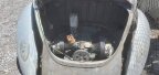 Thumbnail Photo 2 for 1973 Volkswagen Beetle