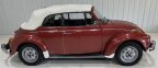 Thumbnail Photo 1 for 1973 Volkswagen Beetle