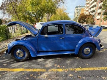 1973 Volkswagen Beetle