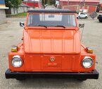 Thumbnail Photo 6 for 1973 Volkswagen Thing