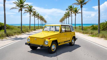 1973 Volkswagen Thing