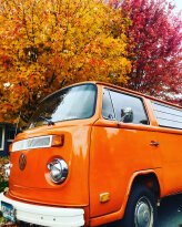 1973 Volkswagen Vans
