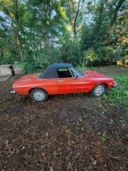 Thumbnail Photo 6 for 1974 Alfa Romeo 2000