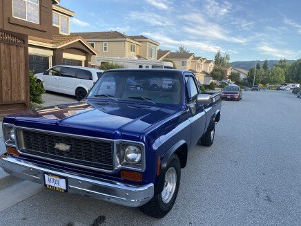 Photo 1 for 1974 Chevrolet C/K Truck C10 for Sale by Owner