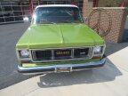 Thumbnail Photo 3 for 1974 Chevrolet C/K Truck 2WD Regular Cab 1500