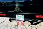 Thumbnail Photo 4 for 1974 Chevrolet C/K Trucks for Sale by Owner