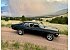 1974 Chevrolet Nova