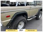 Thumbnail Photo 1 for 1974 Ford Bronco