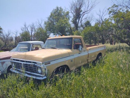 Photo 1 for 1974 Ford F100 2WD Regular Cab