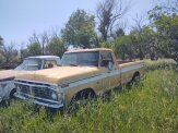 1974 Ford F100 2WD Regular Cab