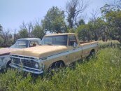 1974 Ford F100 2WD Regular Cab