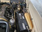 Thumbnail Photo 2 for 1974 Mercedes-Benz 240D