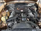 Thumbnail Photo 5 for 1974 Mercedes-Benz 450SL