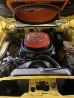 Thumbnail Photo 1 for 1974 Plymouth Roadrunner