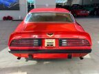 Thumbnail Photo 6 for 1974 Pontiac Firebird