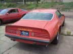 Thumbnail Photo 3 for 1974 Pontiac Firebird Trans Am Coupe