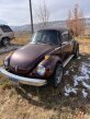 Thumbnail Photo 1 for 1974 Volkswagen Beetle