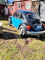 Thumbnail Photo 4 for 1974 Volkswagen Beetle