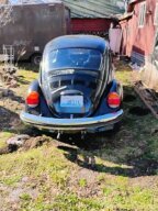 Thumbnail Photo 1 for 1974 Volkswagen Beetle