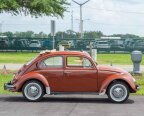 Thumbnail Photo 1 for 1974 Volkswagen Beetle