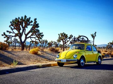1974 Volkswagen Beetle Coupe
