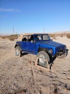 Thumbnail Photo 2 for 1974 Volkswagen Thing