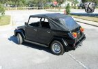 Thumbnail Photo 4 for 1974 Volkswagen Thing