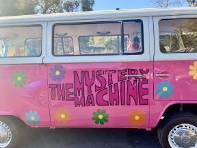 1974 Volkswagen Vans