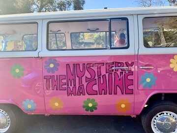 1974 Volkswagen Vans